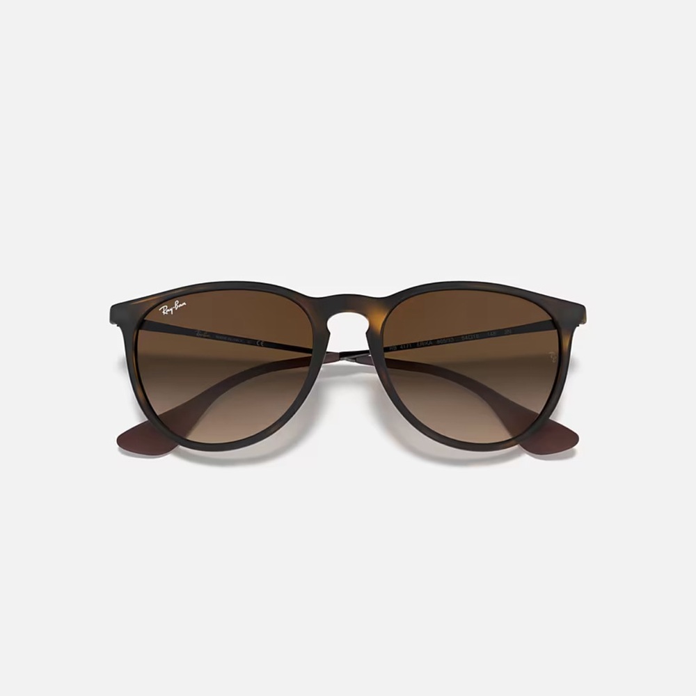 Ray-Ban Erika Classic Sunglasses